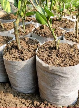 100pcs Biodegradable Non-woven Nursery Bags Fabric Eco-Frien