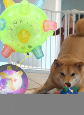 Pet Dog Toy Interactive Jumping Activation Ball For Dogs Fla