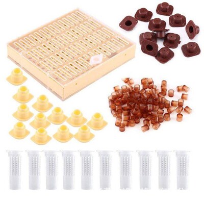 Complete Nicot Bee Queen Rearing Kit For Beekeeper Supplies