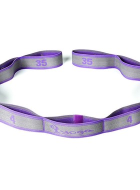 Gym Fitness Yoga Stretching Strap Elastic Band Physical Trai