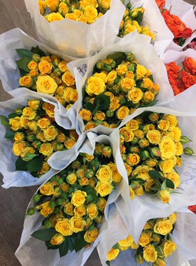 Kunming long barbie orange roses bubble rose dream straight