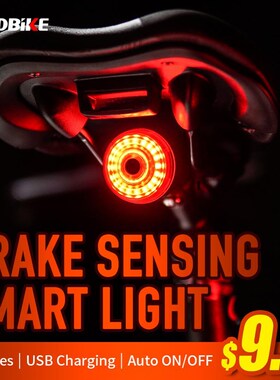 Leadbike Bicycle Rear Light Smart Auto Brake Sensing Tail Li