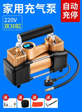 220 v home duplex electric inflator pump car tyres column