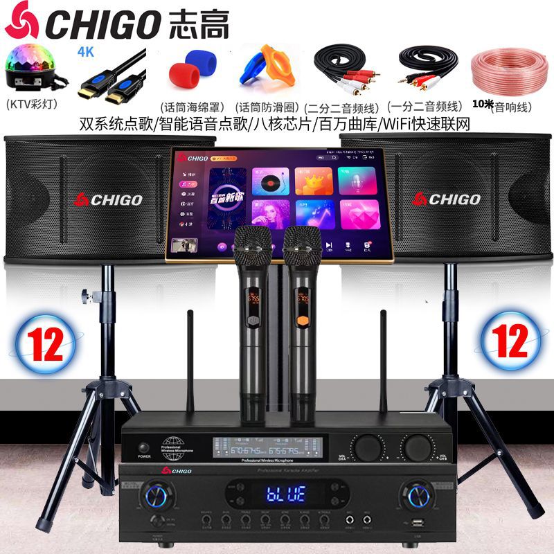 志高专业12寸家庭ktv音响套装会议舞台家用客厅卡拉O电视音箱全套