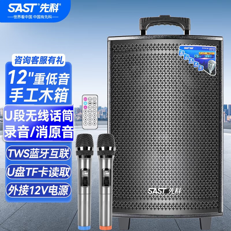 先科(SAST)12英寸重低