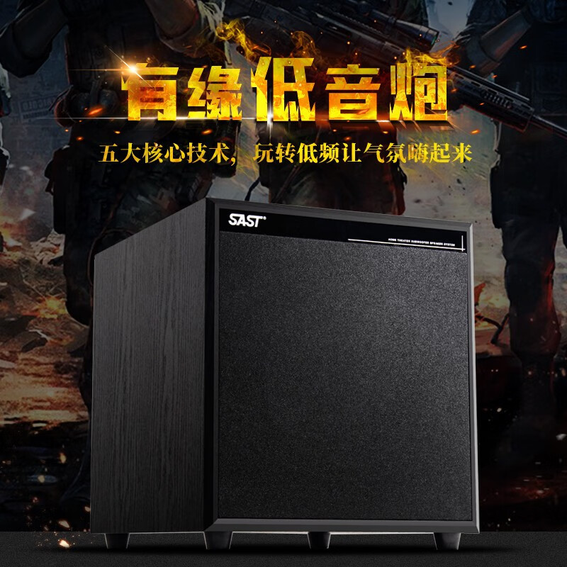 先科（SAST） 有源低音炮音箱大功率家用家庭影院音响大音量木质