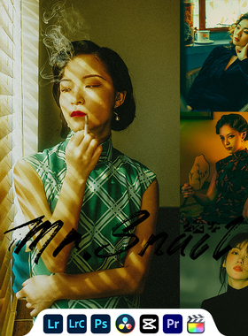 Mr.309 王家卫港风电影复古人像LR预设PS滤镜PR视频LUT调色手机