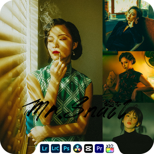 Mr.309 王家卫港风电影复古人像LR预设PS滤镜PR视频LUT调色手机
