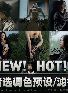 lr人像预设滤镜ps插件调色pr剪映视频lut达芬奇胶片手机lightroom