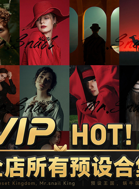 ps调色人像lr预设滤镜lightroom达芬奇pr视频lut插件婚礼富士胶片