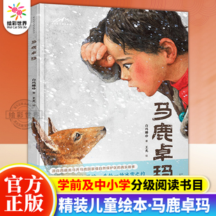 马鹿卓玛 2024百班千人暑假阅读书单幼儿园大班 3-6岁幼儿园宝宝大班经典绘本图画书学前大班绘本