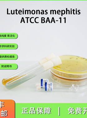 ATCC BAA-11怪味藤黄色单胞菌Luteimonas mephitis