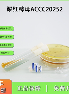 ACCC20252深红酵母 胶红酵标准酵母 废水产酒精