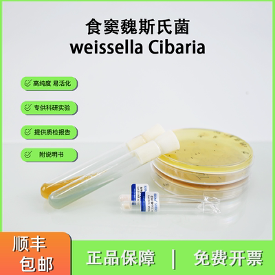 weissella Cibaria食窦魏斯氏菌 西巴里亚魏瑟菌标准菌株现货