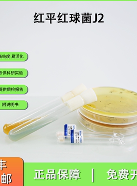 ACCC10543红平红球菌J2 生物脱硫 自石油土壤提取