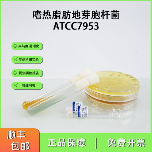 ATCC7953嗜热脂肪地芽胞杆菌 杀菌指示菌