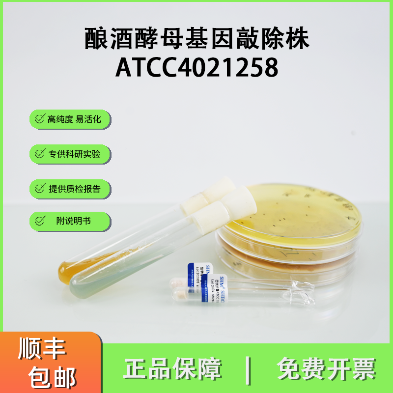 ATCC4021258酿酒酵母基因敲除株 研究遗传工具菌 0代标准菌株