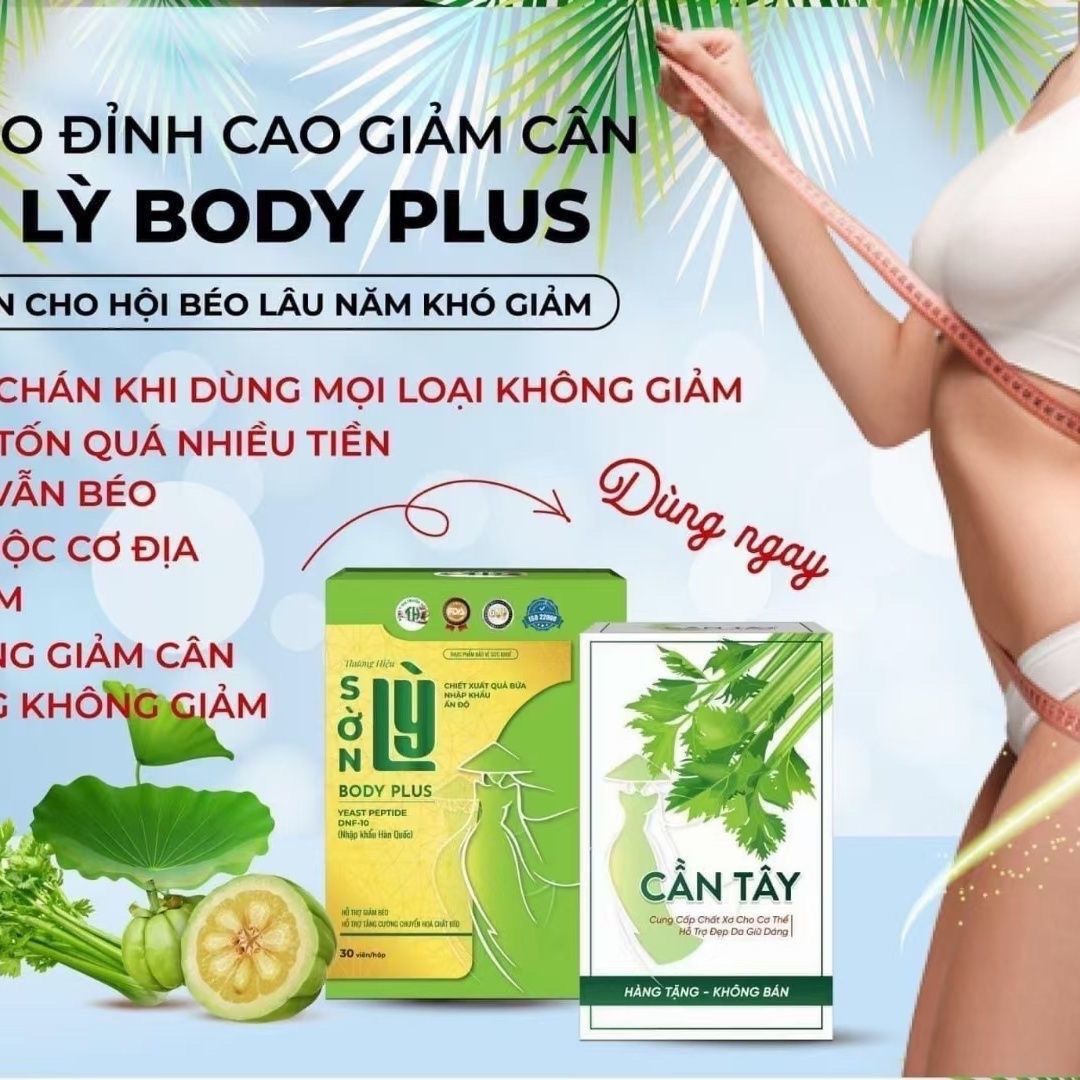 越南Giam can Son ly 1 hôp 30v tang 1 hop detox Hàng chuan 美容护肤/美体/精油 纤体霜/凝露 原图主图