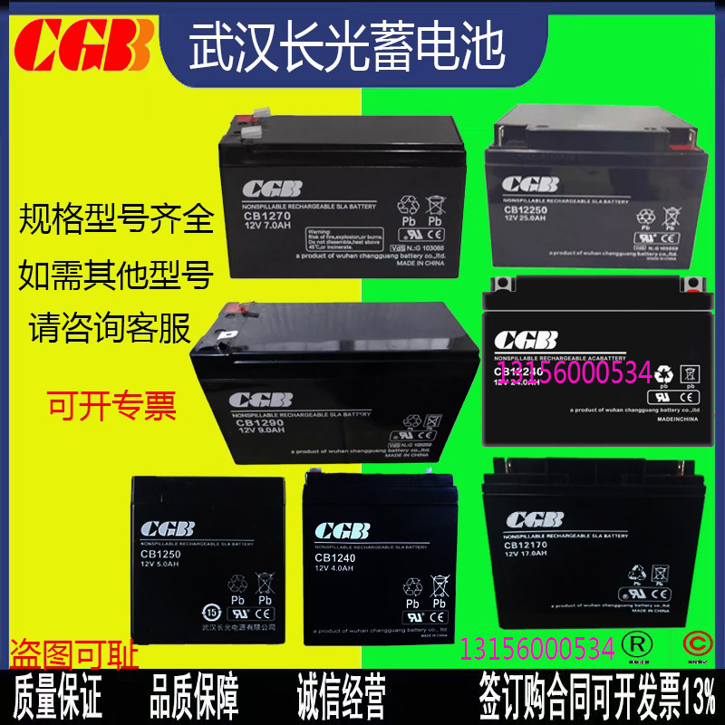 武汉长光蓄电池UPS主机电源包邮