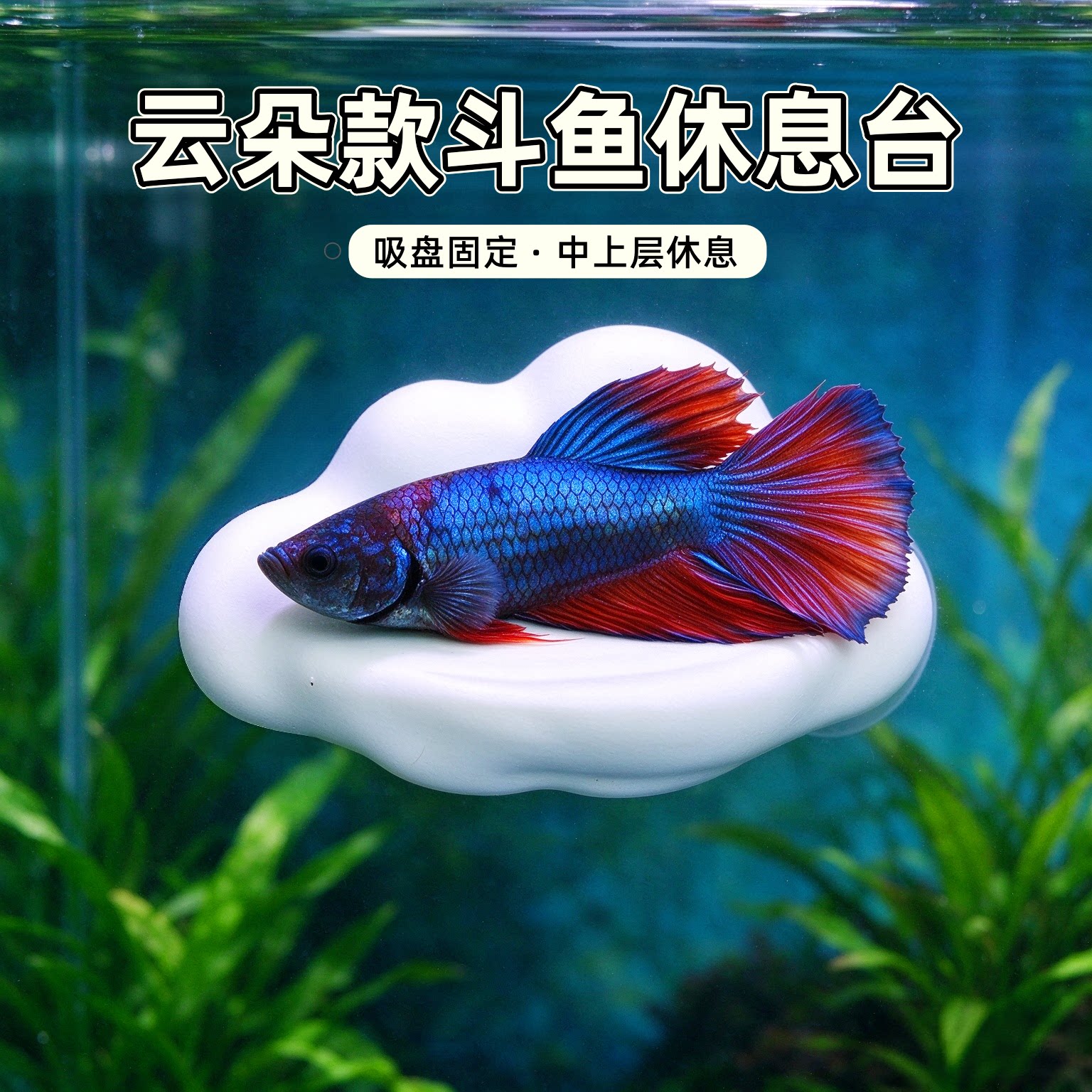 鱼缸云朵造景休息平台透气