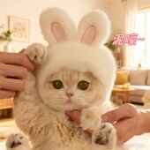 宠物帽子猫咪头套可爱小熊头饰小型犬狗狗青蛙狮子花朵头饰兔耳朵