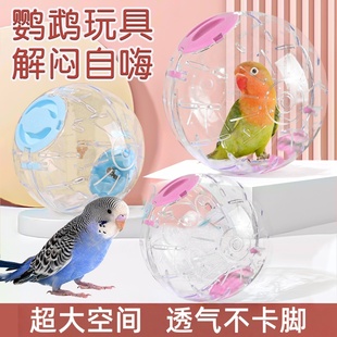 鹦鹉玩具跑球虎皮牡丹解闷自嗨滚球鹦鹉飞碟啃咬转盘鸟玩具大全