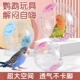 鹦鹉玩具跑球虎皮牡丹解闷自嗨滚球鹦鹉飞碟啃咬转盘鸟玩具大全