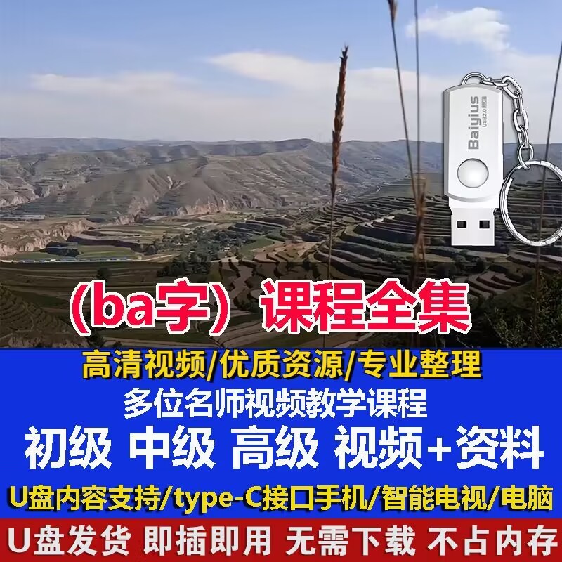 8个字视频教程合集u盘名师课程全集优盘