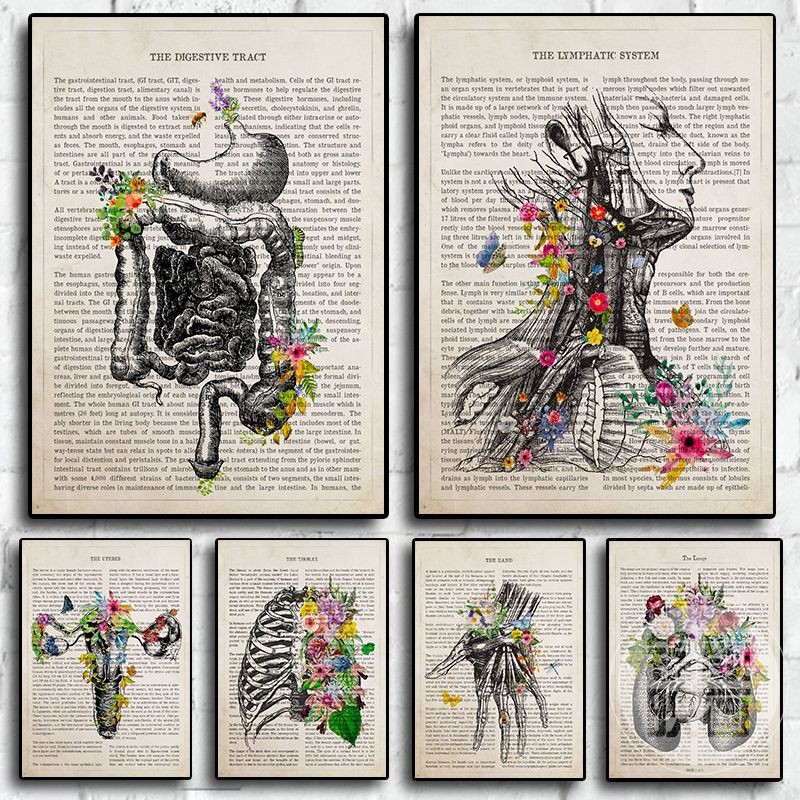 复古人体解剖蝴蝶美学海报装饰画人体器官科教画教室走廊医学挂画图片