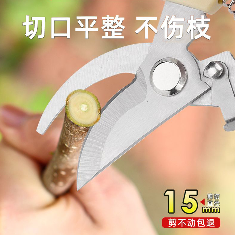 园艺剪子果树修剪粗枝剪
