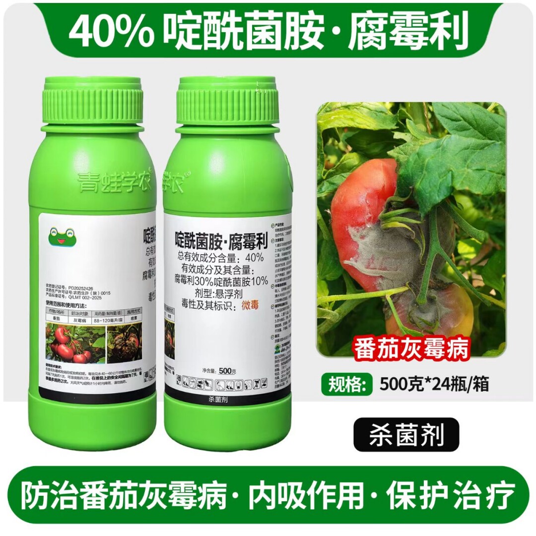 番茄灰霉病杀菌农药40%啶酰菌胺腐霉利防治番茄灰霉病番茄病害