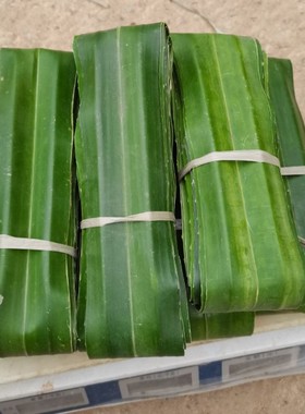 芦兜粽叶露兜叶假菠萝叶野菠萝叶新鲜勒古叶粽子叶中山芦兜粽叶