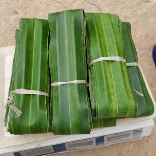 芦兜粽叶露兜叶假菠萝叶野菠萝叶新鲜勒古叶粽子叶中山芦兜粽叶