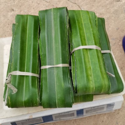 芦兜粽叶露兜叶假菠萝叶野菠萝叶新鲜勒古叶粽子叶中山芦兜粽叶