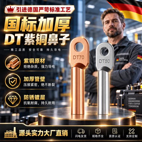 DT国标铜鼻子堵油铜接头