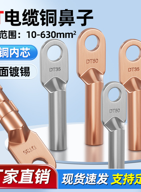 铜鼻子铜接头DT10/16/25/35/50/70-500平方接线端子堵油线耳鼻子