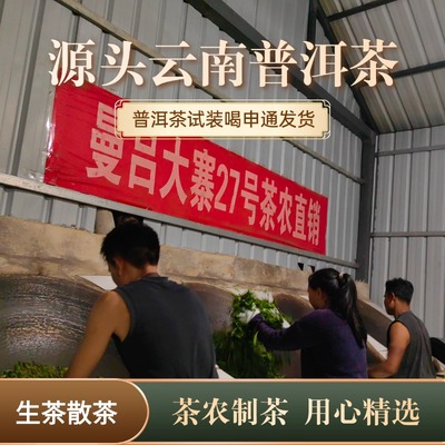 云南勐海普洱茶生茶散茶茶叶试喝装 勐宋滑竹梁子 那卡 大曼吕