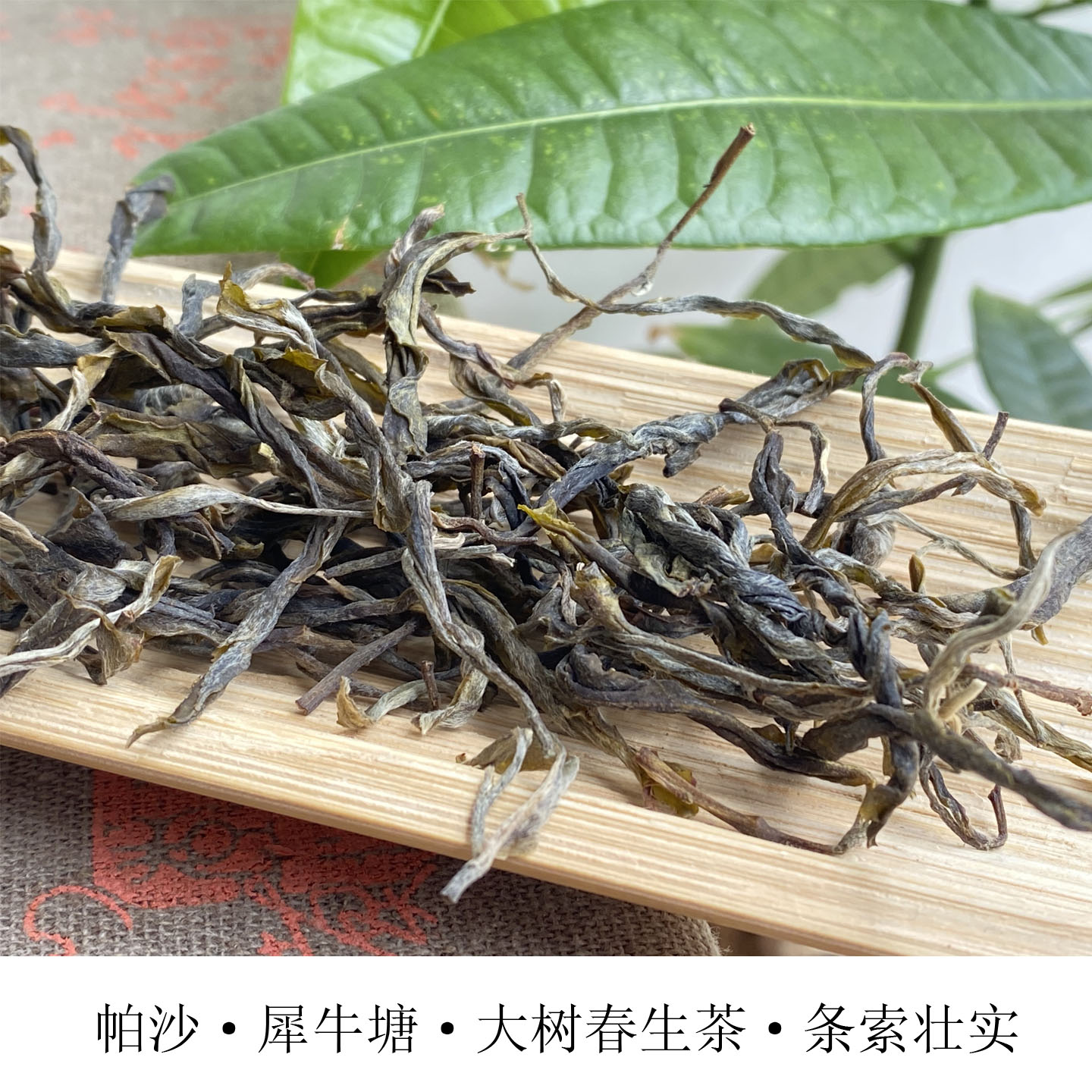 老班章原始茶种犀牛塘大树春