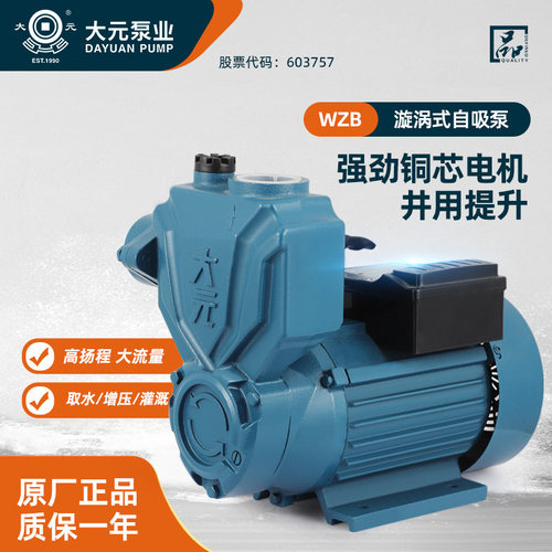 大元全铜电机自吸泵220V/380V