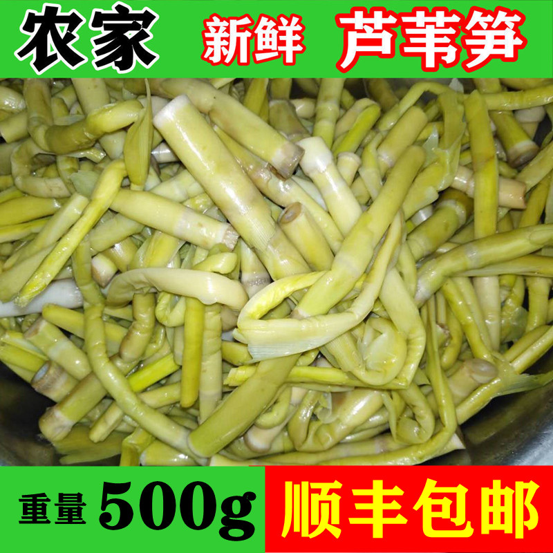 湖北特产石首华容监利新鲜蔬菜柴笋子芦苇笋野菜财笋荻笋火锅食材