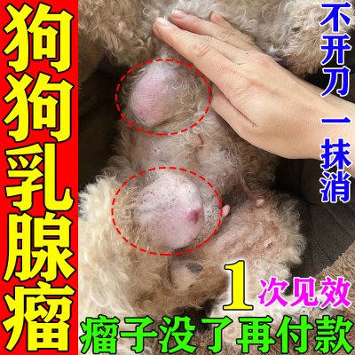 一抹消瘤】狗狗乳腺肿瘤药膏乳房胀痛肿块硬块淋巴瘤脂肪瘤消瘤膏