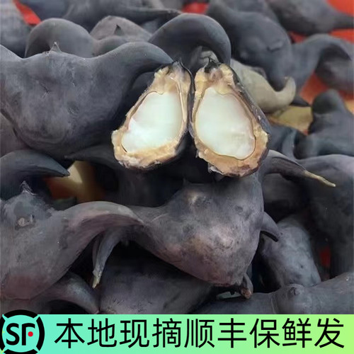 菱角