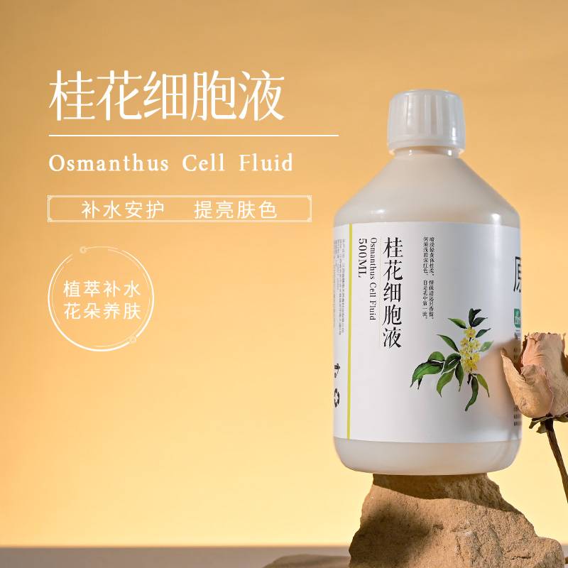 云南天然桂花纯露月桂纯露细胞液