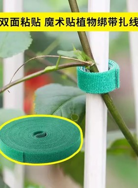 绑花扎带绿植龟背竹魔术贴园艺扎线植物捆绑定型绑带插花固定神器