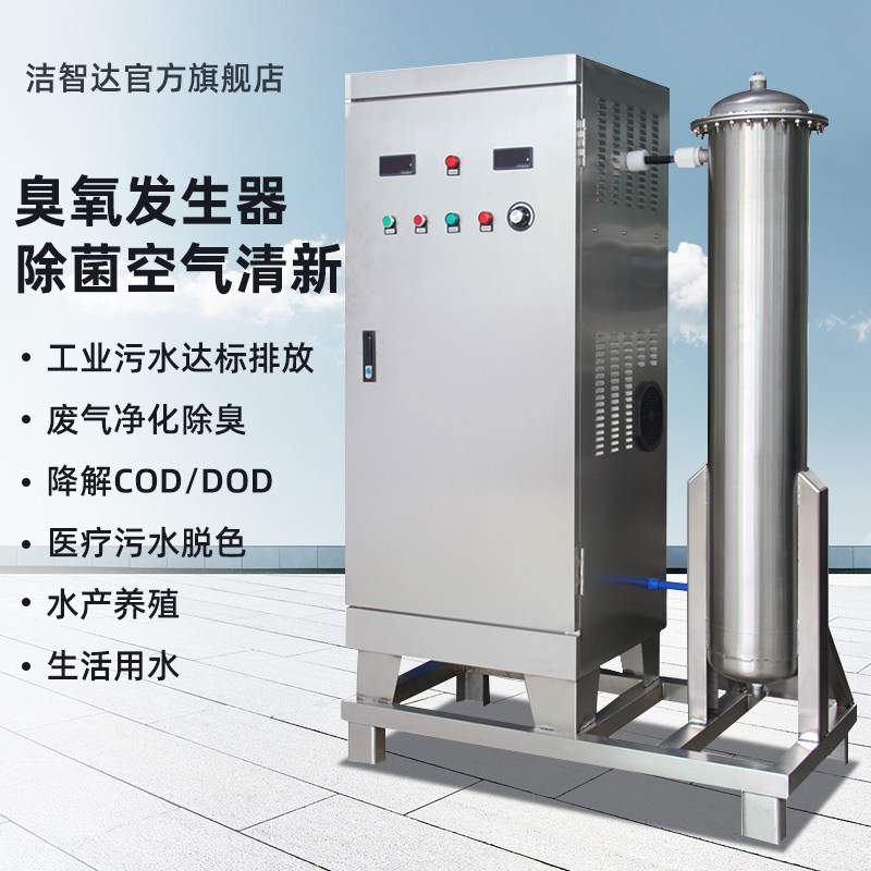 大型臭氧产生器水处理消毒机桶装水产养殖泳池100g高浓度工业杀菌