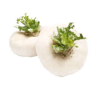 温州盘菜种子台州玉环盘菜头种孑咸菜秋冬四季芥菜蔬菜种籽大全