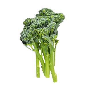 西洋芥蓝种子持续采收西兰苔种籽长茎西兰花秀兰芥兰青花芦笋种孑