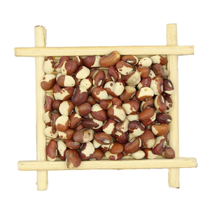 摘不败高产花豇豆种子无架长豆角种籽春夏秋四季农家杂粮蔬菜种孑