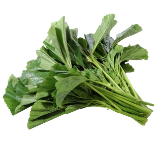 糯米冬寒菜种子高钙马蹄菜葵菜春秋四季冬苋菜种孑阳台蔬菜籽大全