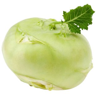 青苤蓝种子大头咸菜疙瘩球茎甘蓝种孑紫丕兰种籽芜菁玉蔓菁蔬菜子